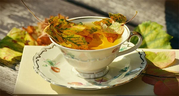 フランスの花でロマンチックな庭を作る3つのコツ