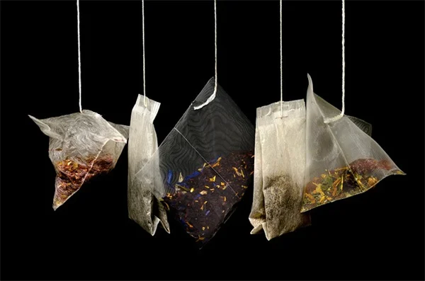 観賞用トウガラシは食べられる？知っておきたい品種の辛さと安全な食べ方